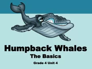 Humpback Whales The Basics Grade 4 Unit 4