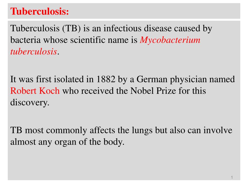 PPT - Tuberculosis : PowerPoint Presentation, free download - ID:2176856