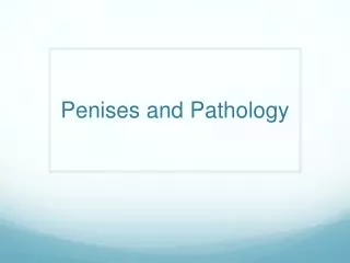 Penises and Pathology