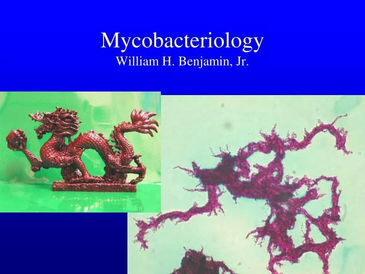 mycobacteriology william h benjamin jr