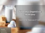Sistema Digestivo Humano - slide 1