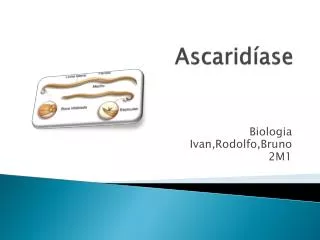 ascarid ase
