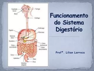 funcionamento do sistema digest rio