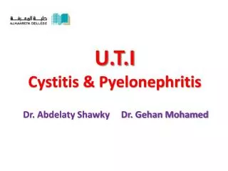 U.T.I Cystitis &amp; Pyelonephritis