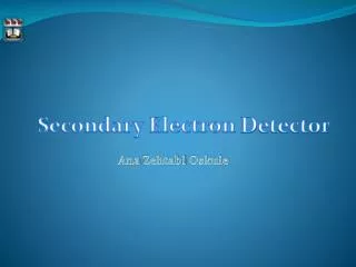Secondary Electron D etector