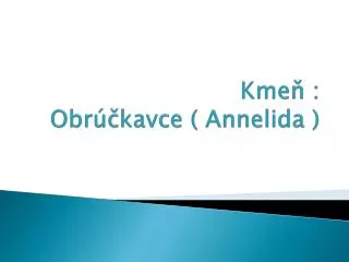 kme obr kavce annelida
