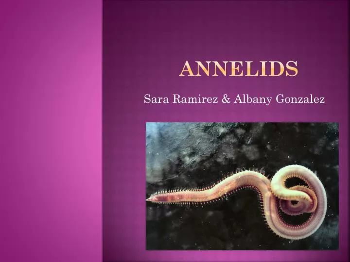 annelids