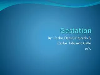 PPT - Gestation PowerPoint Presentation, Free Download - ID:3499378