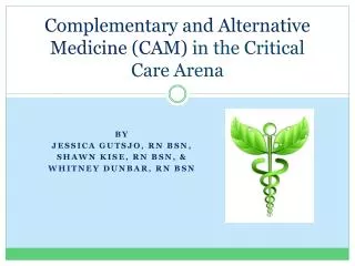 Complementary and Alternative Medicine (CAM) in the Critical Care Arena