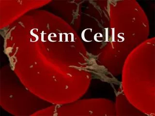 Stem Cells