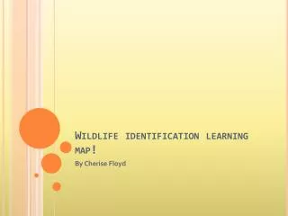 Wildlife identification learning map!