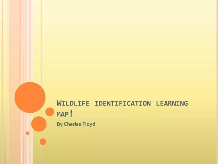 wildlife identification learning map