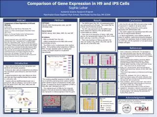 Comparison of Gene Expression in H9 and iPS Cells