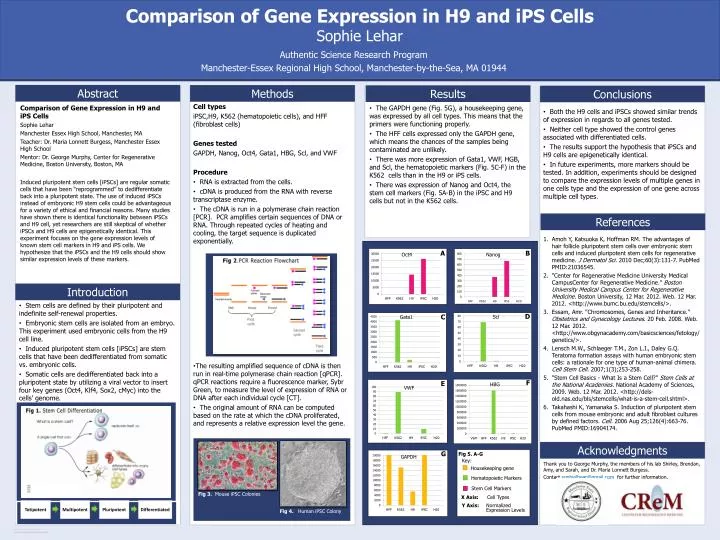 comparison of gene expression in h9 and ips cells