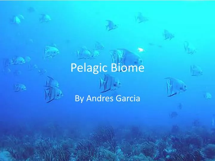 pelagic biome