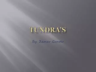 Tundra's