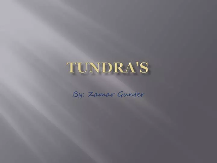 tundra s