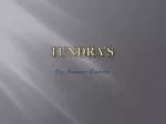 Tundra's - slide 1