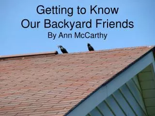 Getting to Know Our Backyard Friends By Ann McCarthy