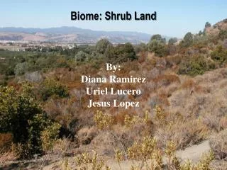 Biome: Shrub Land