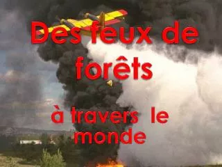 d es feux de for ts