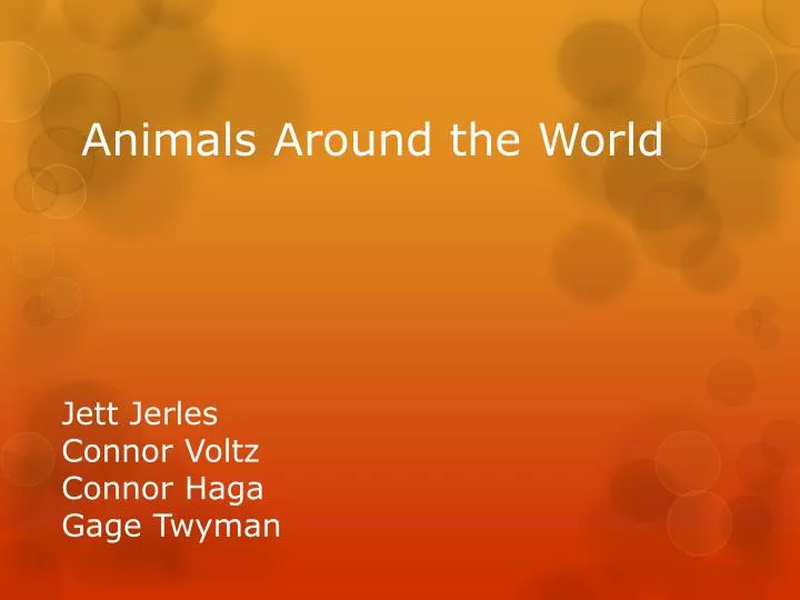 animals around the world