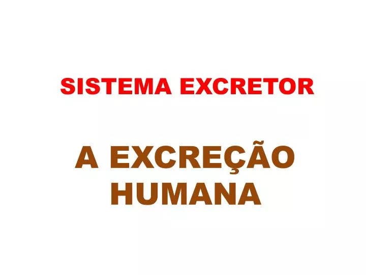 sistema excretor