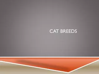 Cat breeds