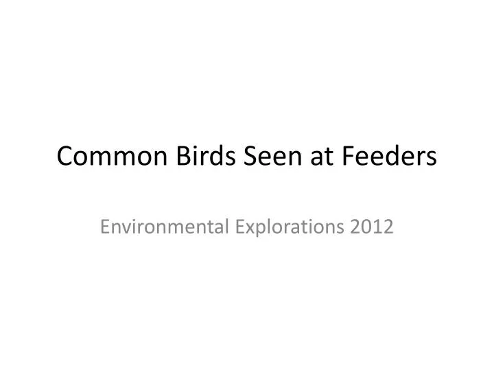 common birds seen at feeders