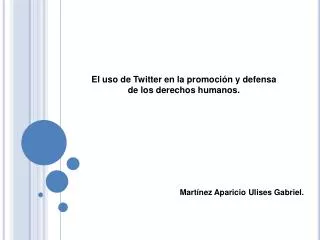 El uso de Twitter en la promoción y defensa de los derechos humanos.