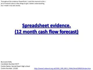 Spreadsheet evidence. (12 month cash flow forecast)