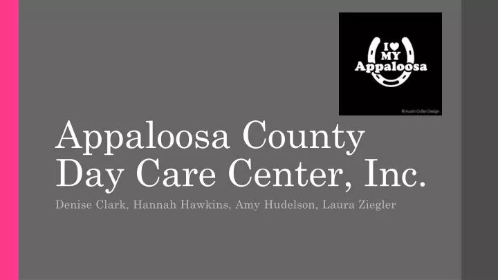 appaloosa county day care center inc