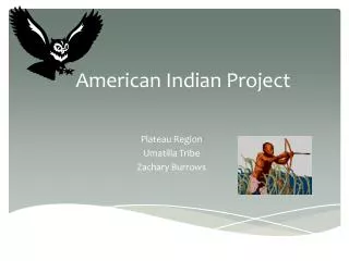 American Indian Project