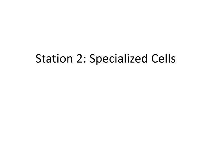 station 2 specialized cells