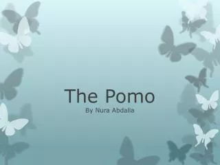 The Pomo By Nura Abdalla
