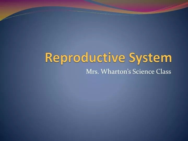 reproductive system