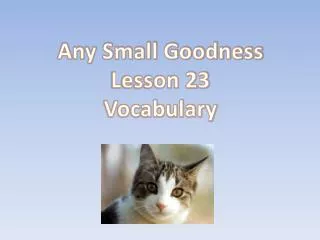 Any Small Goodness Lesson 23 Vocabulary