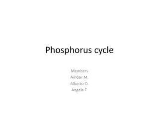 Phosphorus cycle