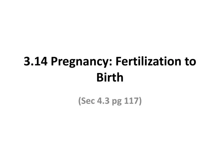 3 14 pregnancy fertilization to birth