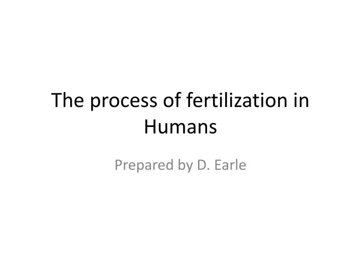 the process of fertilization in humans