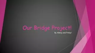 Our Bridge Project!