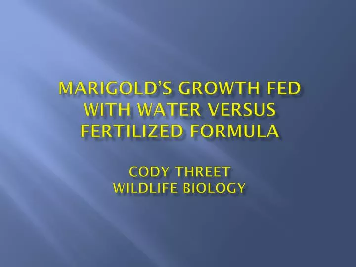 marigold s growth fed with water versus fertilized formula cody threet wildlife biology