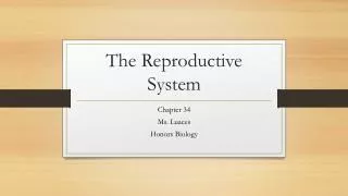 The Reproductive System