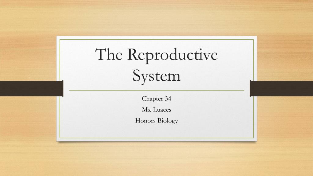 PPT - The Reproductive System PowerPoint Presentation, free download ...