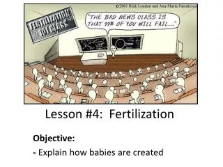 Lesson #4: Fertilization