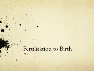 Fertilization to Birth