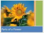 Parts of a Flower - slide 1