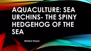 Aquaculture: sea Urchins- The spiny hedgehog of the sea