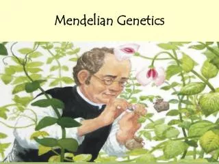 Mendelian Genetics