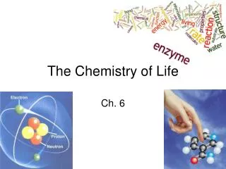 The Chemistry of Life